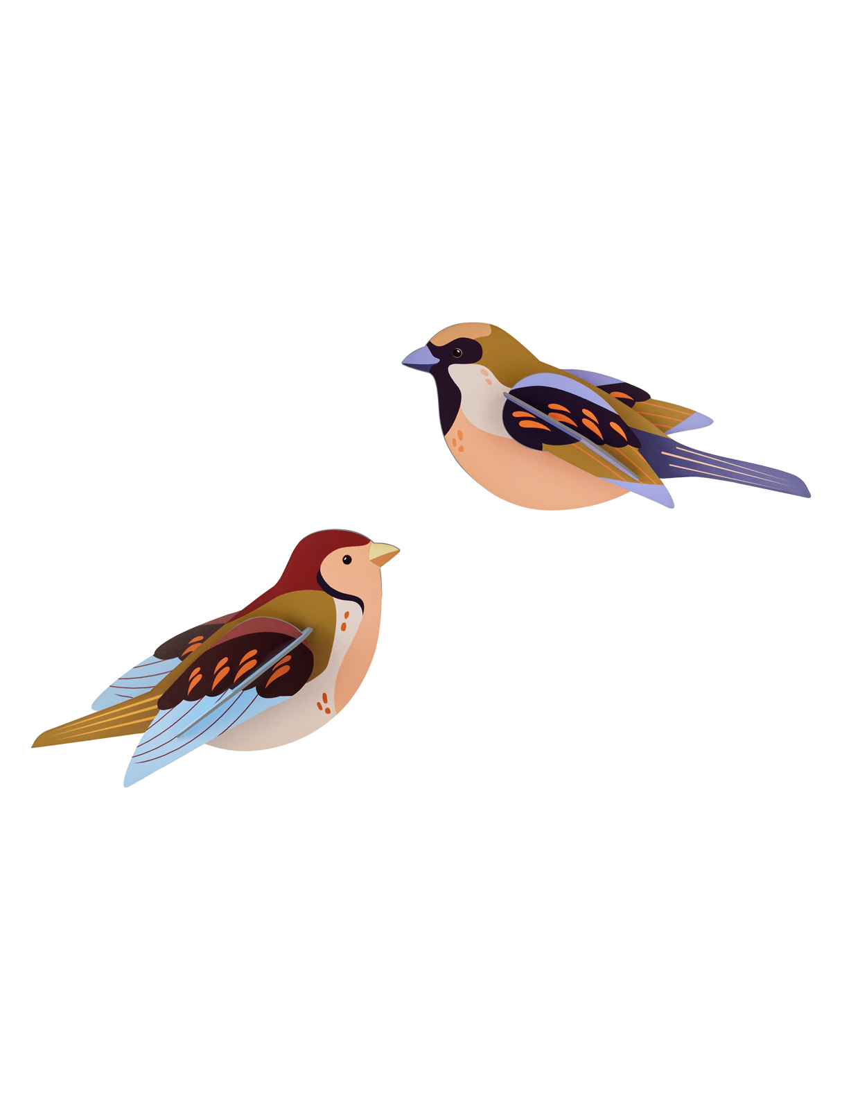 Picture of Sparrows