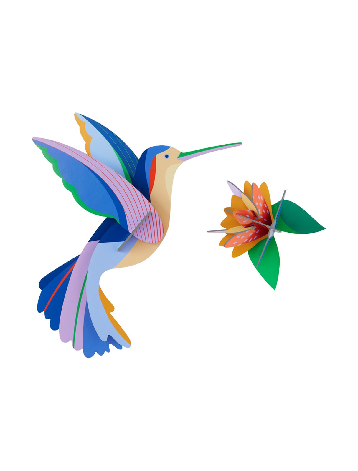 Picture of Hummingbird 