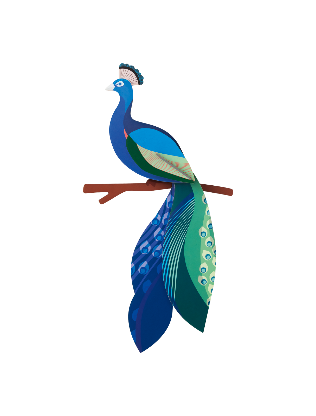 Picture of Peacock