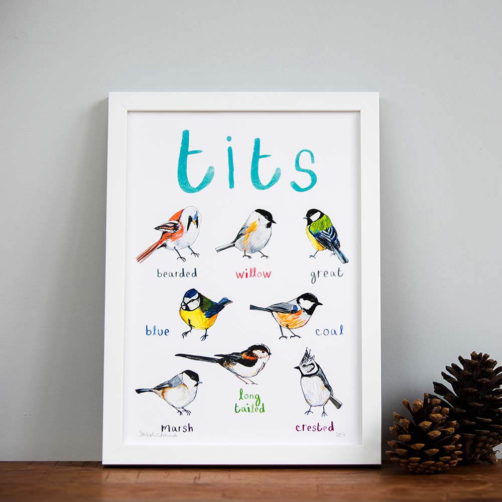 Picture of Tits A4 Print