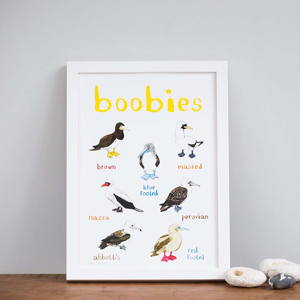 Picture of Boobies A4 Print