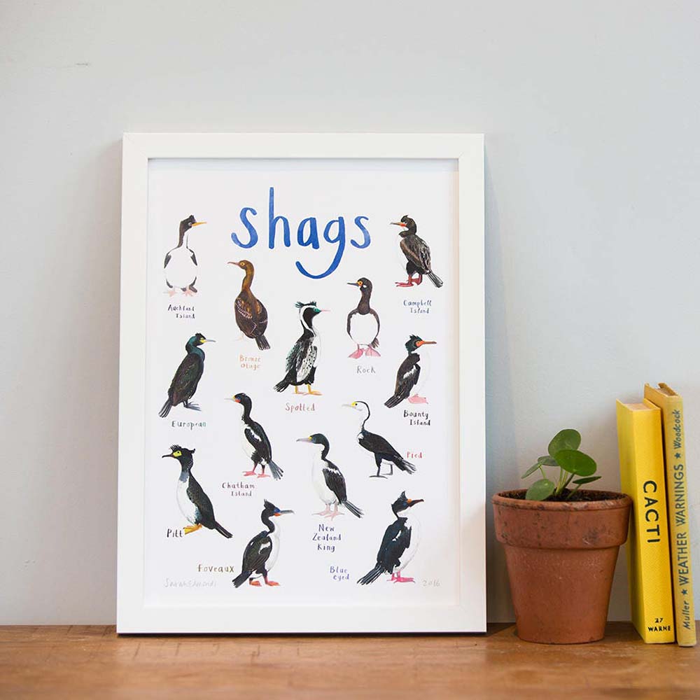 Picture of Shags A4 Print