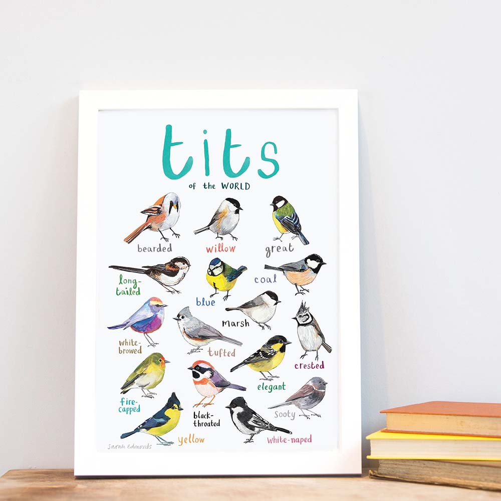 Picture of Tits of the World Print