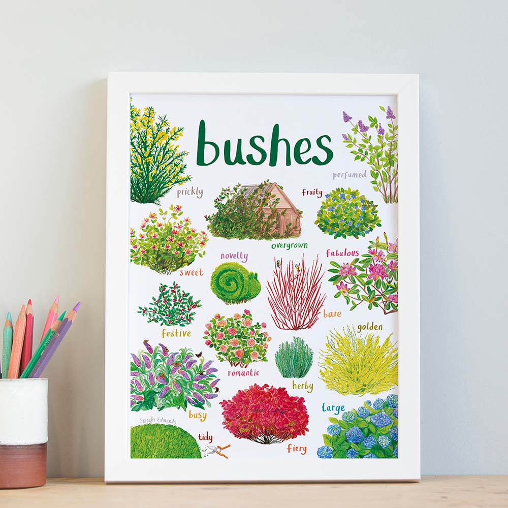 Picture of Bushes A4 Print