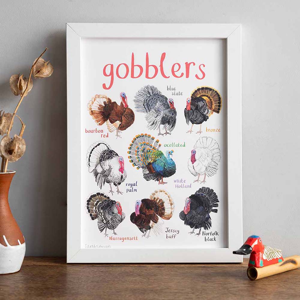 Picture of Gobblers A4 Print
