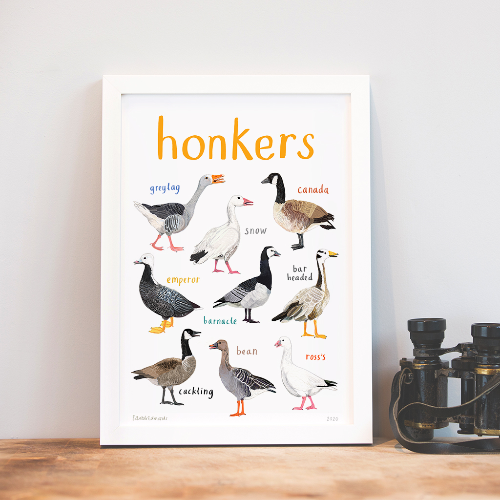 Picture of Honkers A4 Print