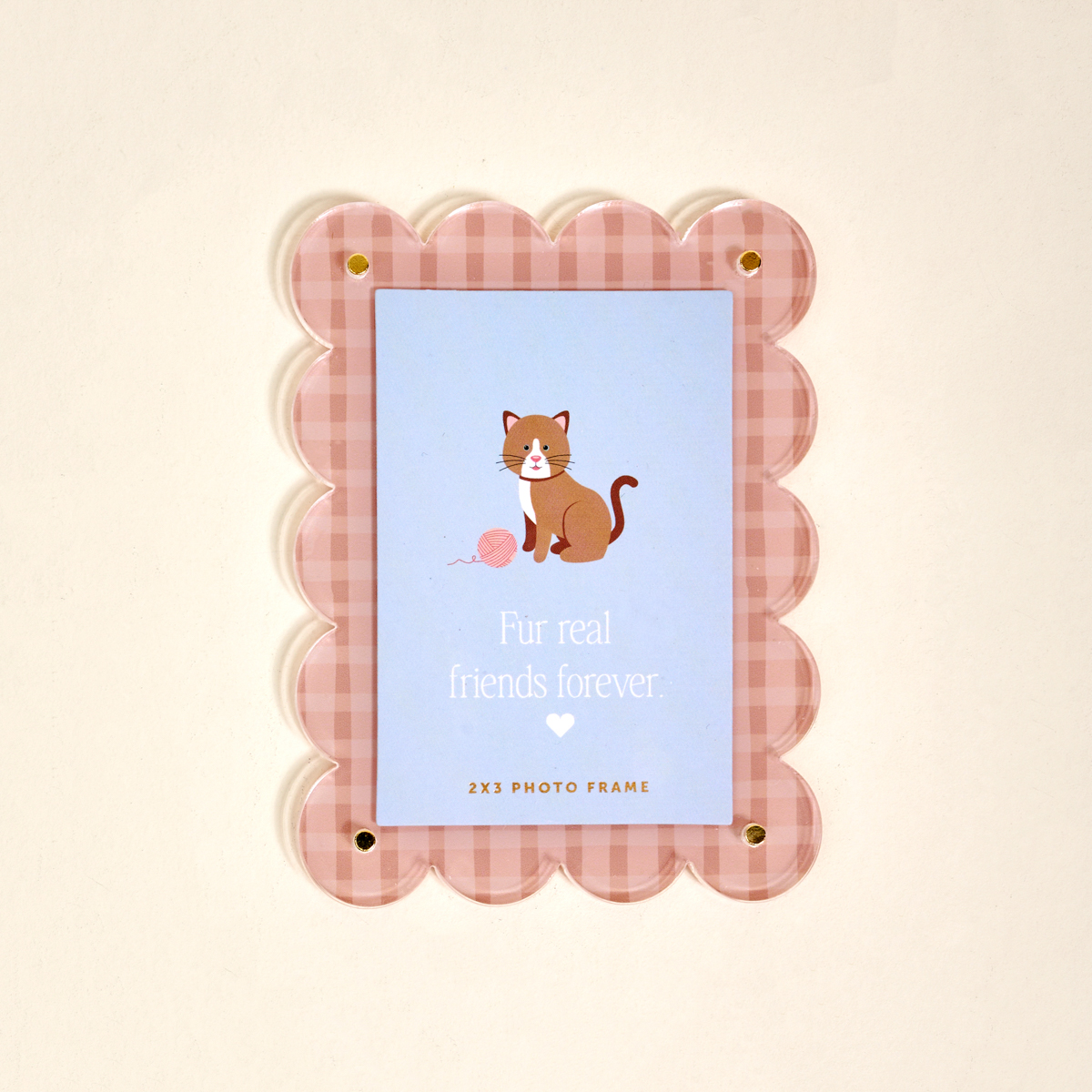Picture of Mini Acrylic Picture Frame Magnet-Cool Cat