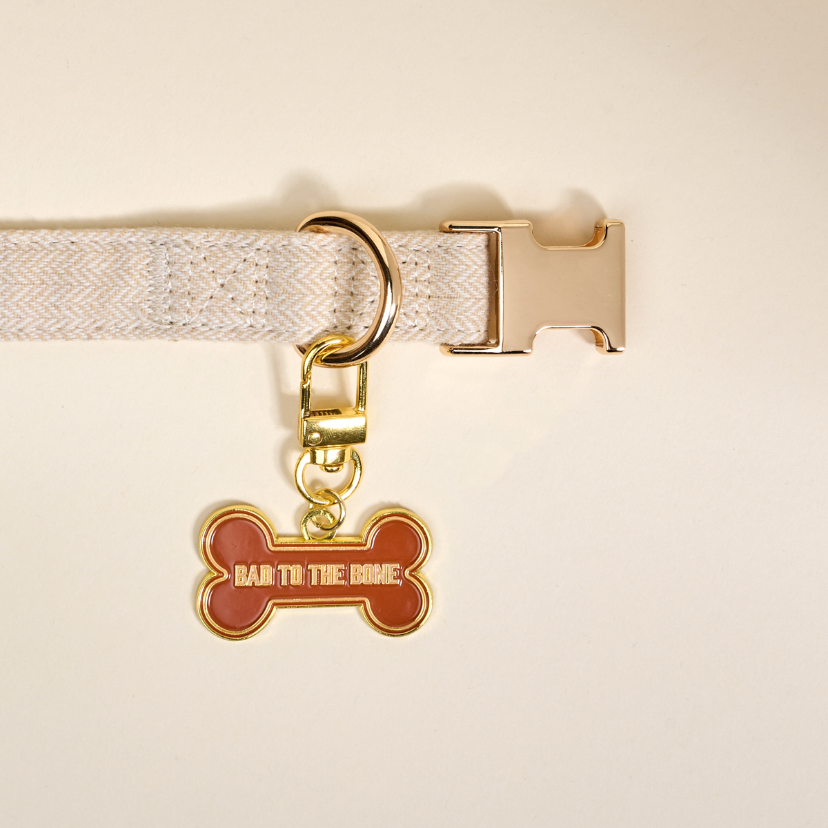 Picture of Pawfect Collar Charm-Bad to the Bone