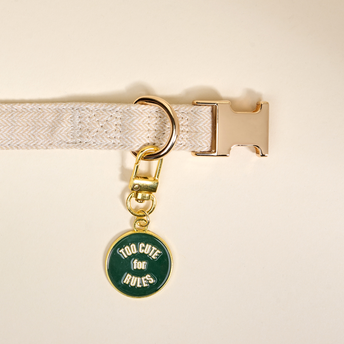 Picture of Pawfect Collar Charm-Too Cute for Rules