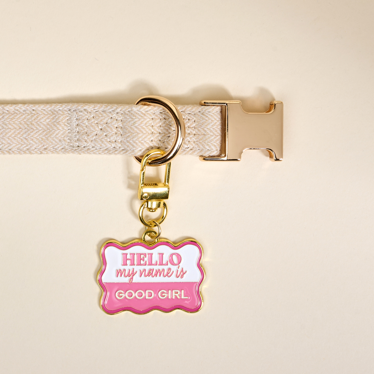 Picture of Pawfect Collar Charm-Good Girl
