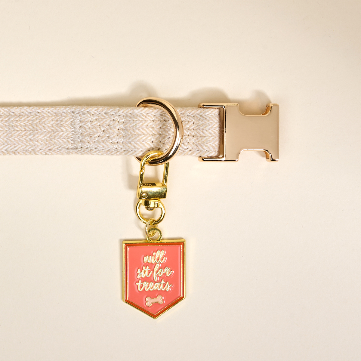 Picture of Pawfect Collar Charm-Will Sit for Treats