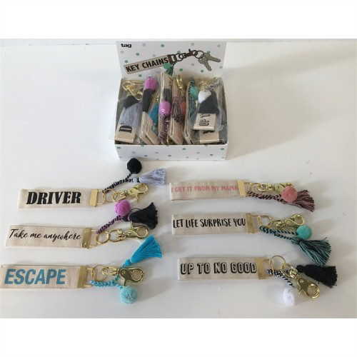 Picture of KEYCHAIN ASMT/18 CDU