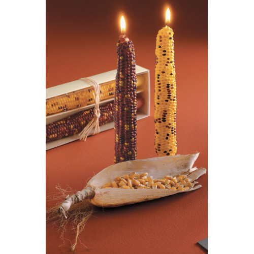 Picture of HARVEST CORN TAPER CANDLES S/2