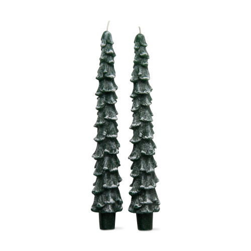 Picture of SPRUCE TAPER CANDLES SET/2