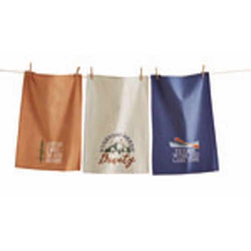 Picture of TOASTED DISHTOWEL ASMT/3