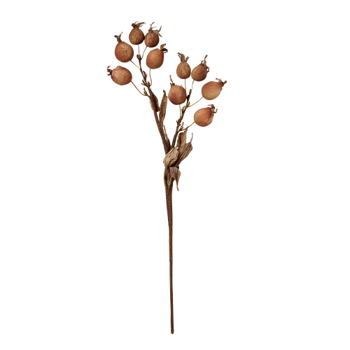 Picture of ROSE HIP SPRAY 18 INCH
