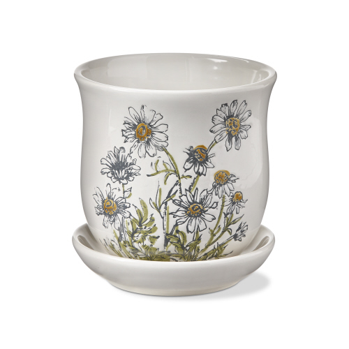 Picture of CHAMOMILE PLNTR W/ SAUCER SET