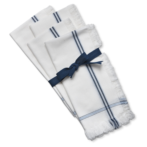 Picture of SUMMER HOUSE STRIPE NAPKIN S4