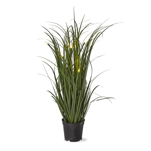 Picture of POTTED GRASS W/ LED LIGHTS