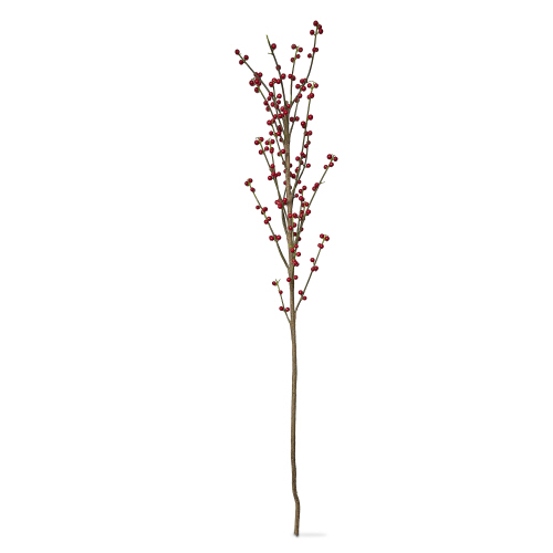 Picture of BERRY BRANCH