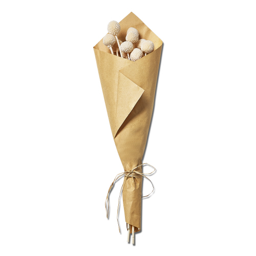 Picture of CRASPEDIA BUNCH WHITE