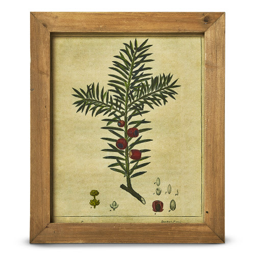 Picture of PINE BERRY VINTAGE WALL ART