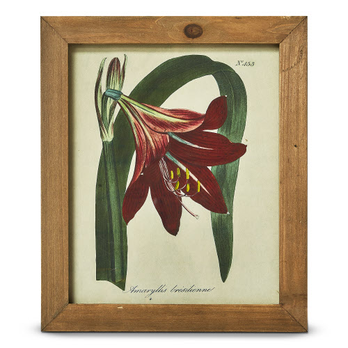 Picture of AMARYLLIS VINTAGE WALL ART