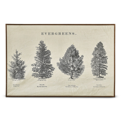 Picture of EVERGREEN WALL ART