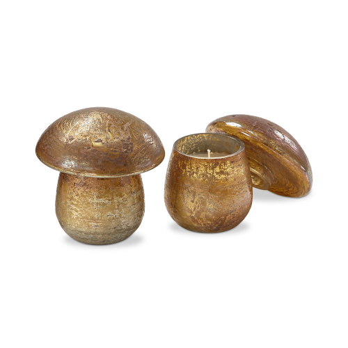 Picture of MUSHROOM SOY FRAGRANCE CANDLE