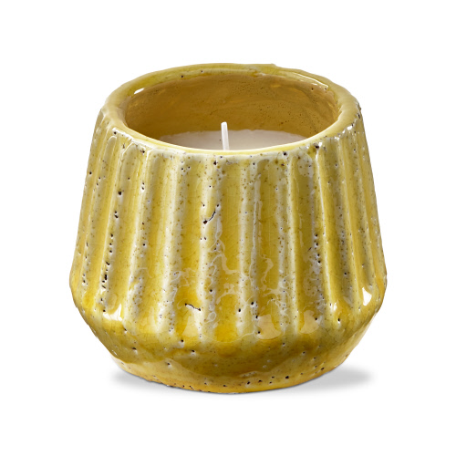 Picture of SANTA CRUZ CITRO POT YELLOW