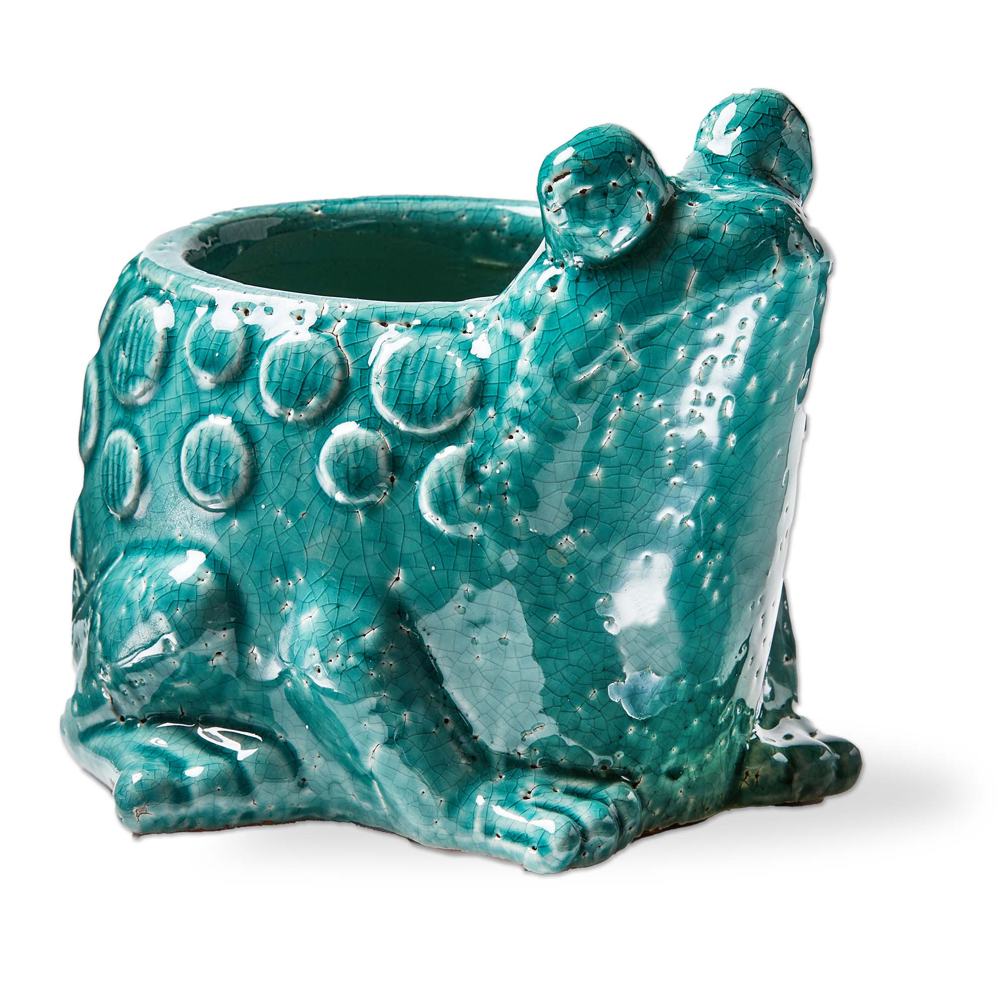 Picture of FROG PLANTER