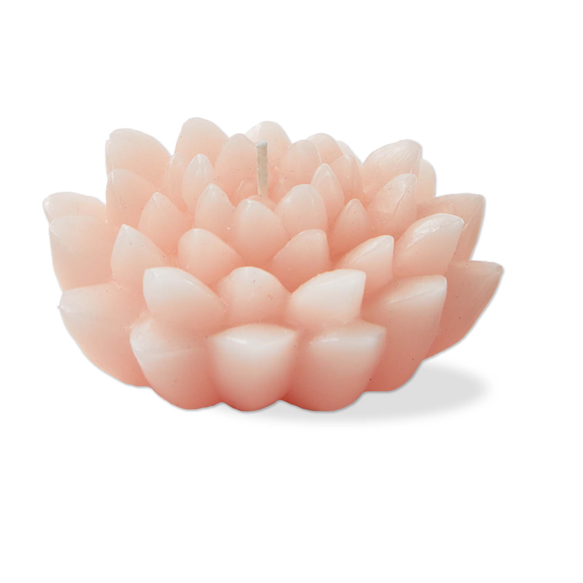 Picture of BLOSSOM FLOWER CANDLE CORAL