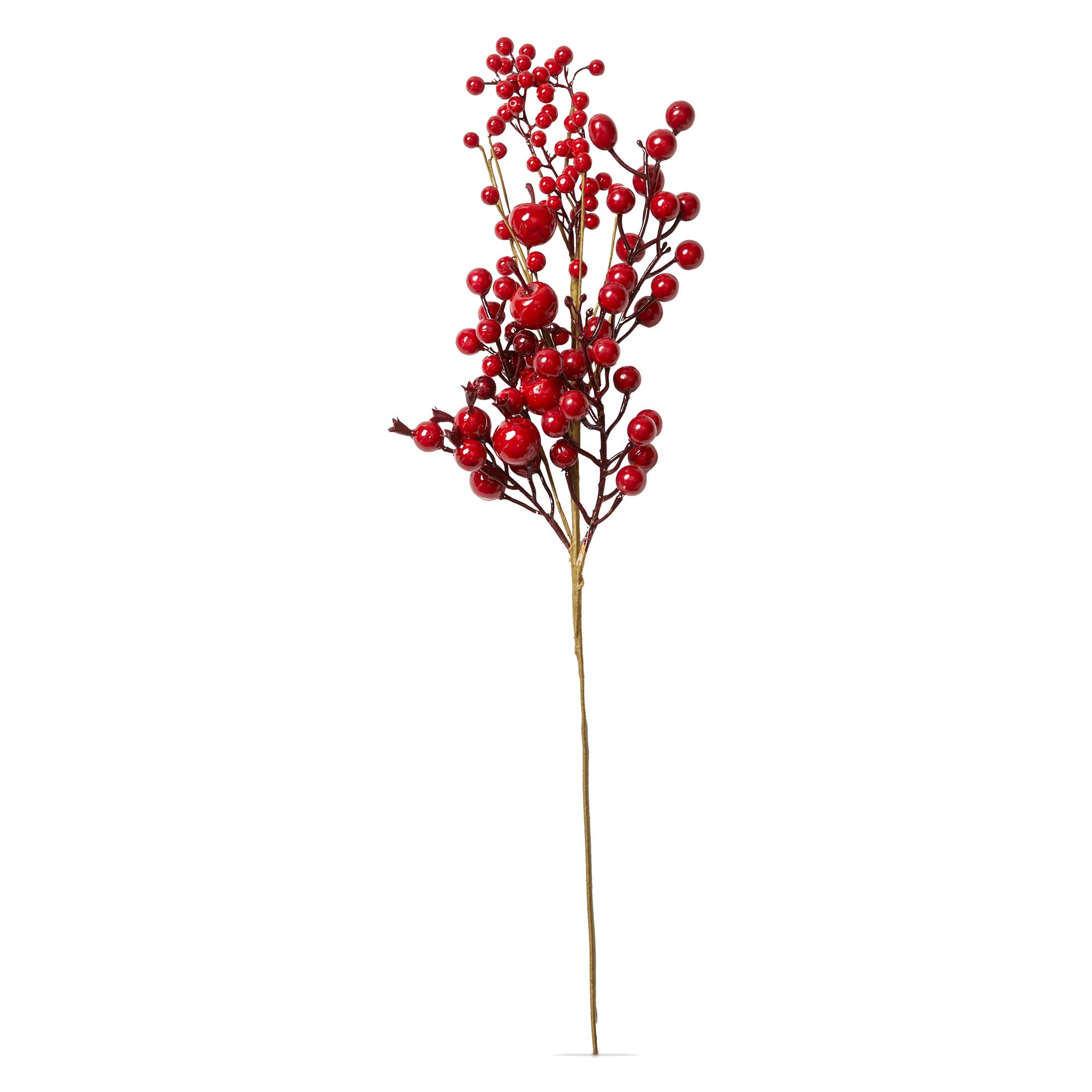 Picture of RED BERRY STEM