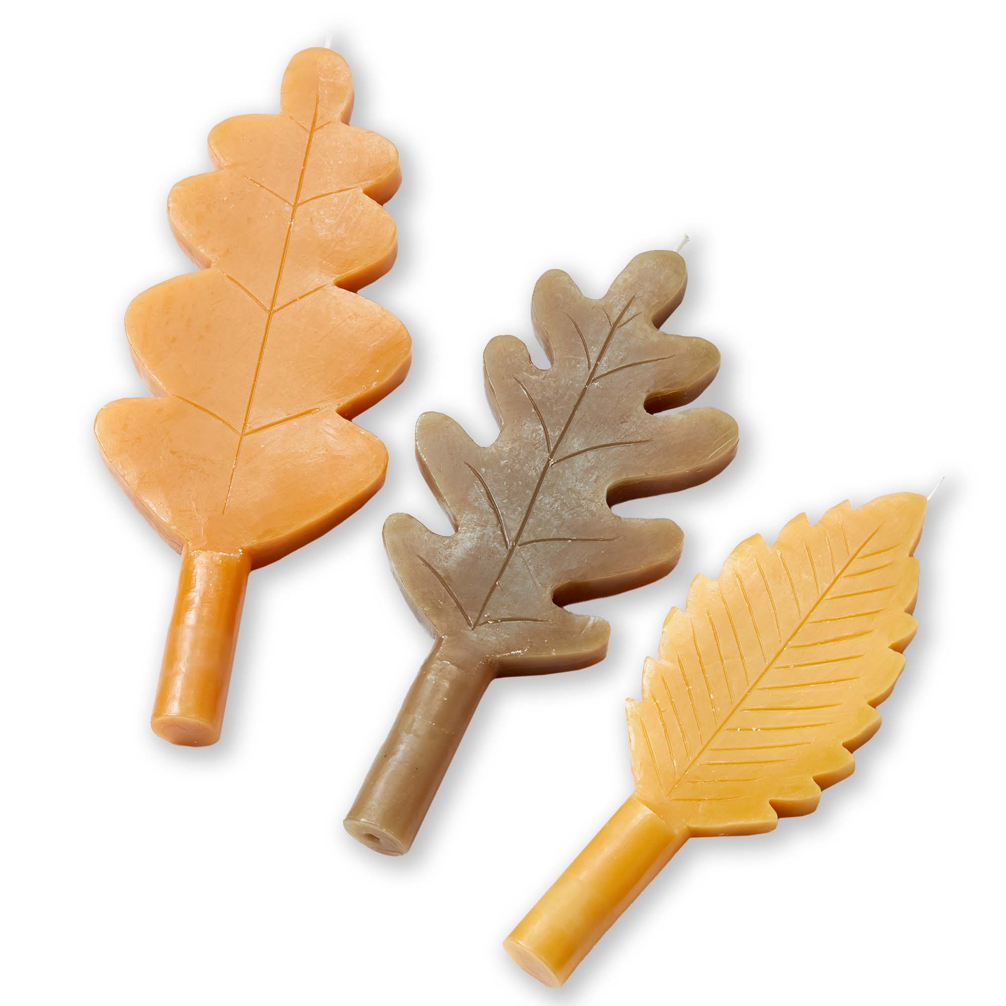 Picture of FALL LEAF TAPER S/3