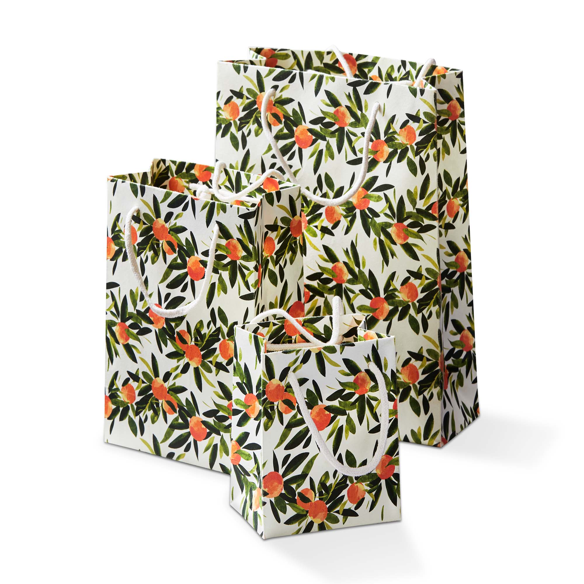 Picture of CITRUS GROVE GIFT BAG S/3