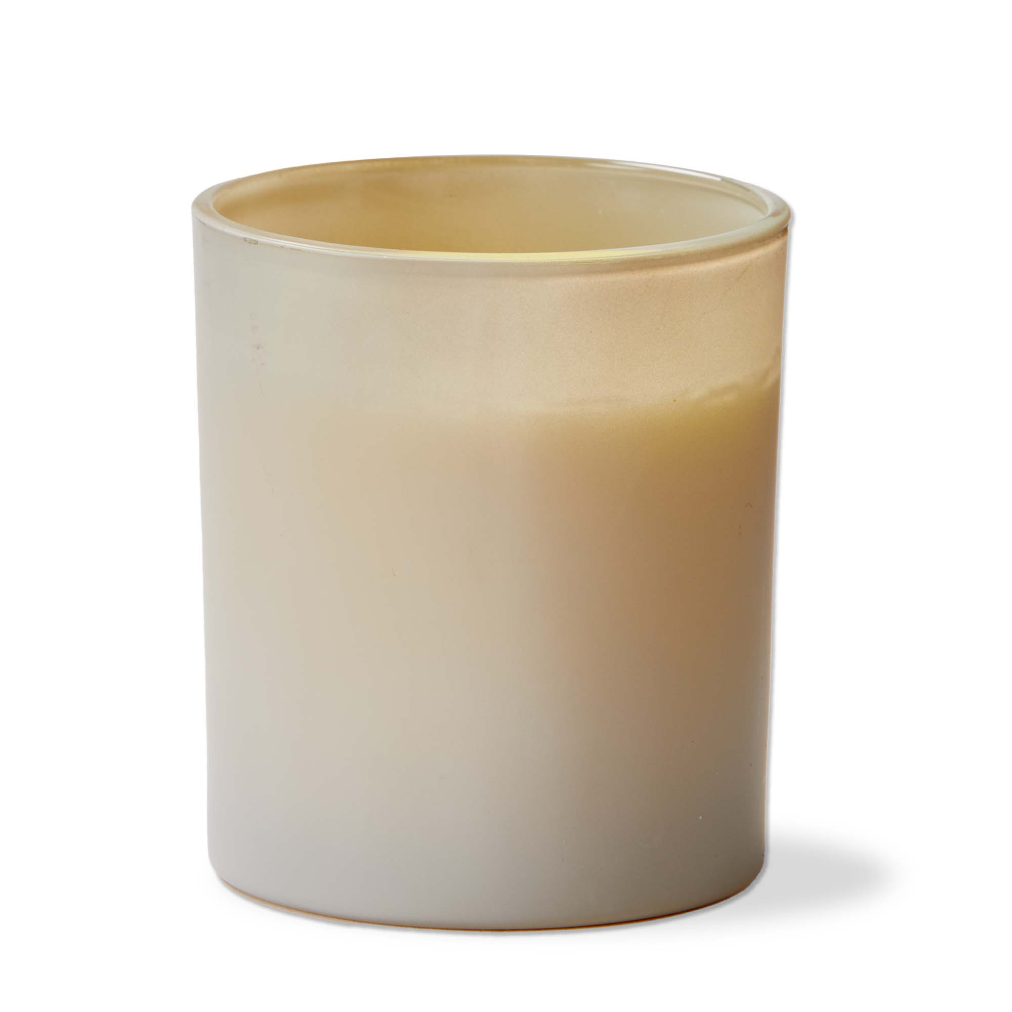 Picture of WILD FERN & ROSES CANDLE