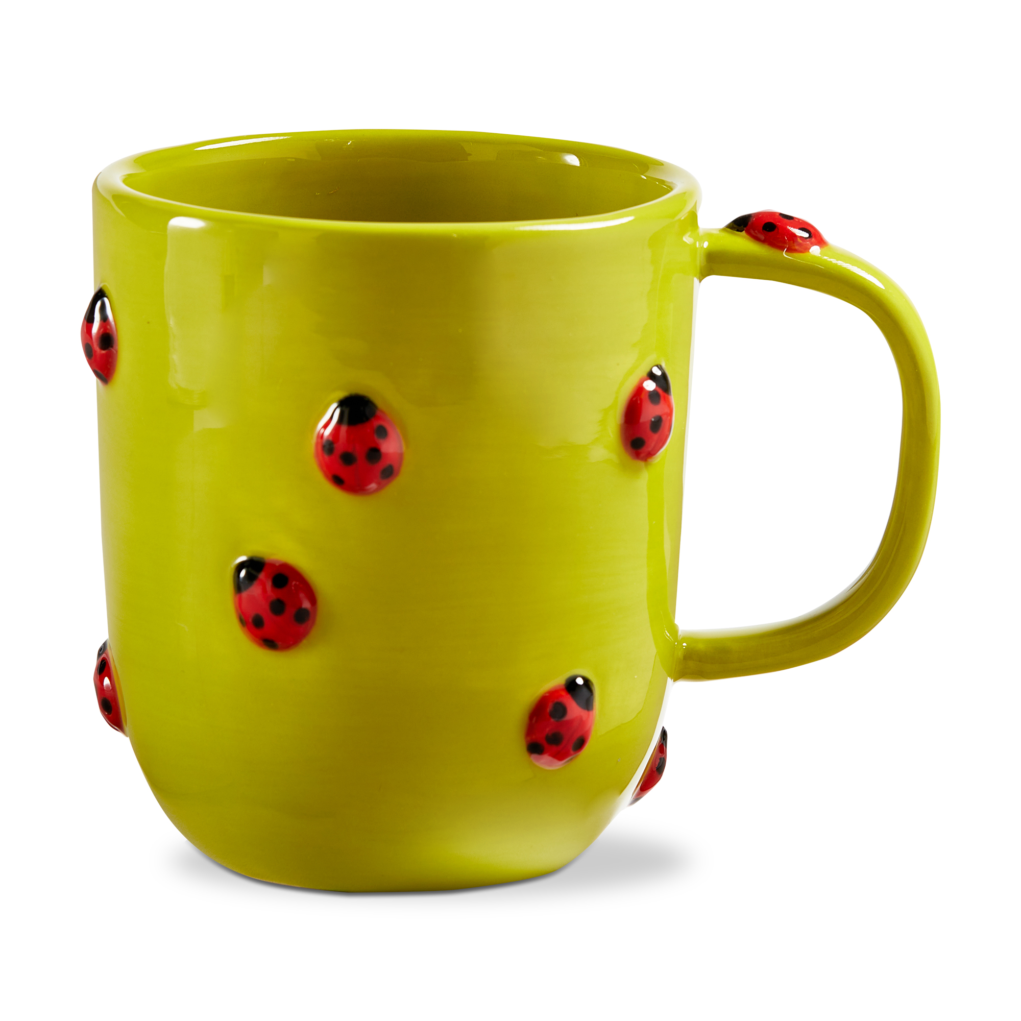 Picture of GARDEN LADYBUG MUG