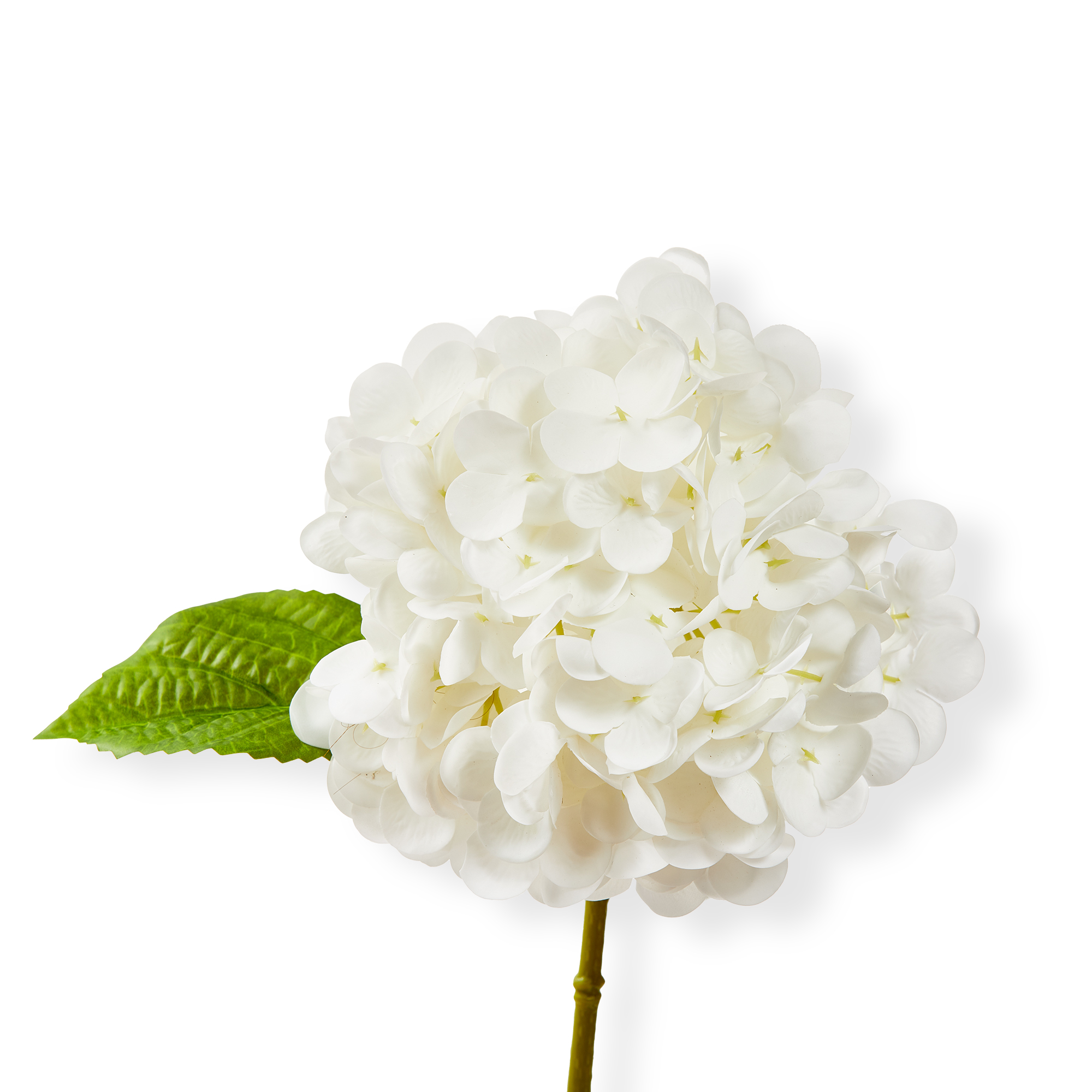 Picture of SOFT TOUCH FAUX HYDRANGEA STEM WHITE