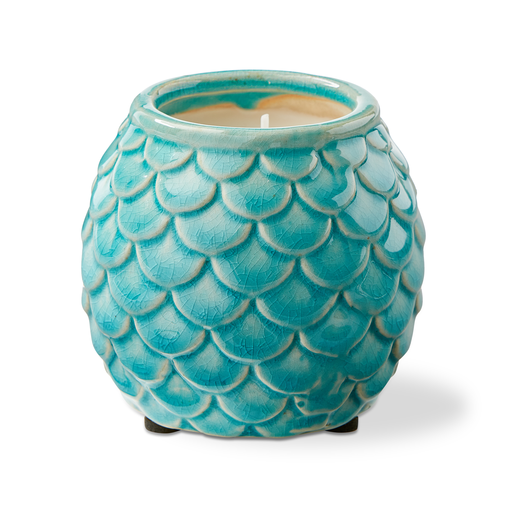 Picture of SCALES CITRONELLA CANDLE TEAL