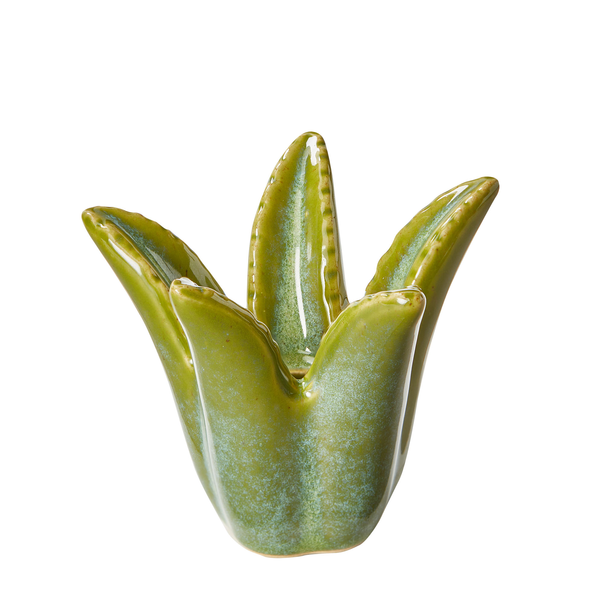 Picture of ALOE VERA TAPER HOLDER