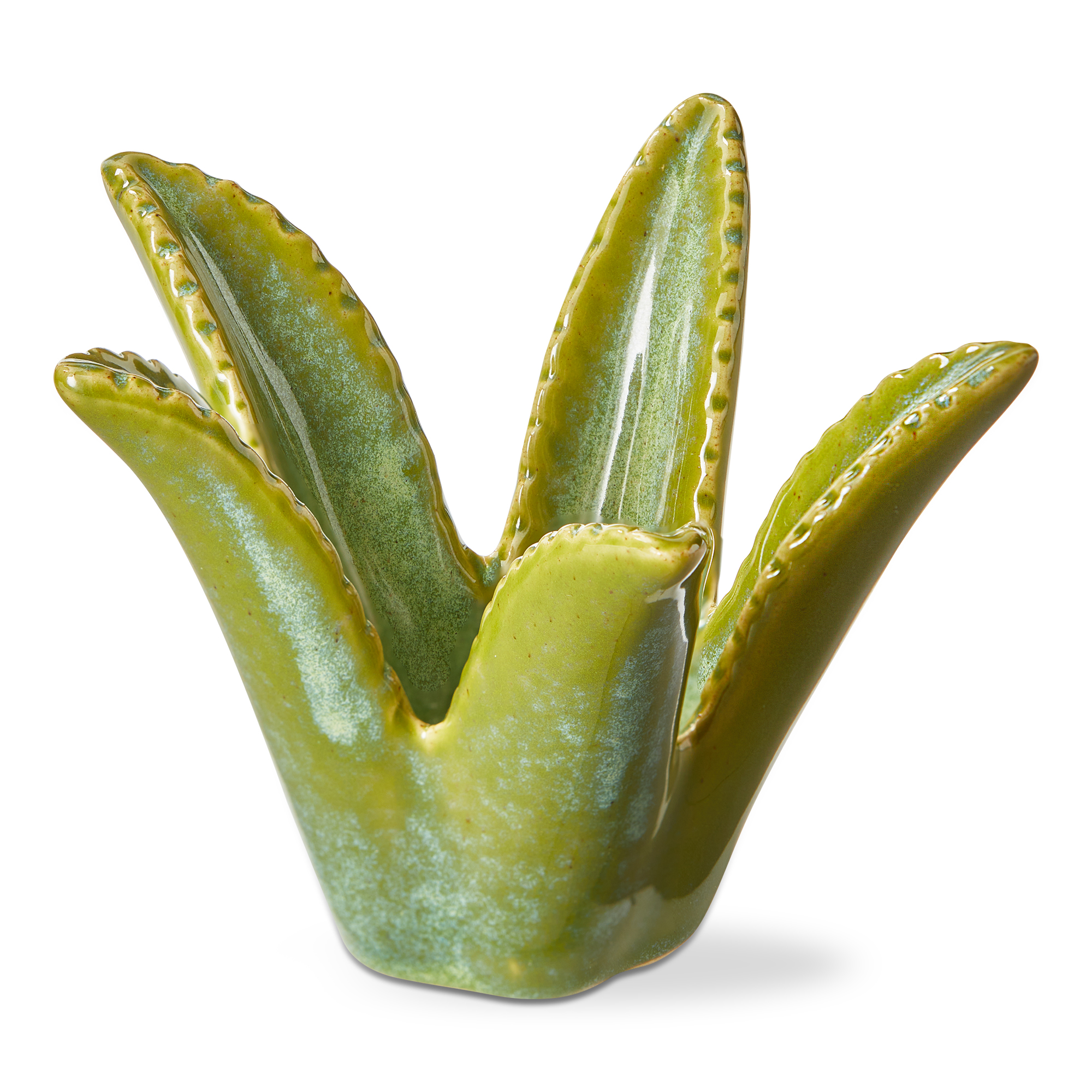 Picture of ALOE VERA TEALIGHT HOLDER