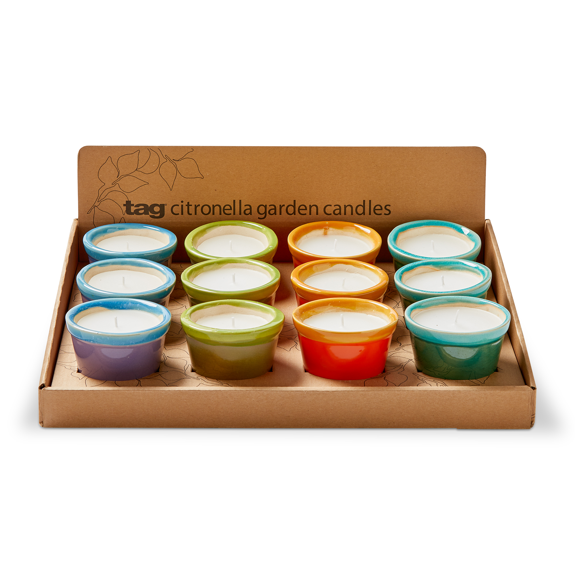 Picture of GARDEN CITRO POT ASMT/12 CDU