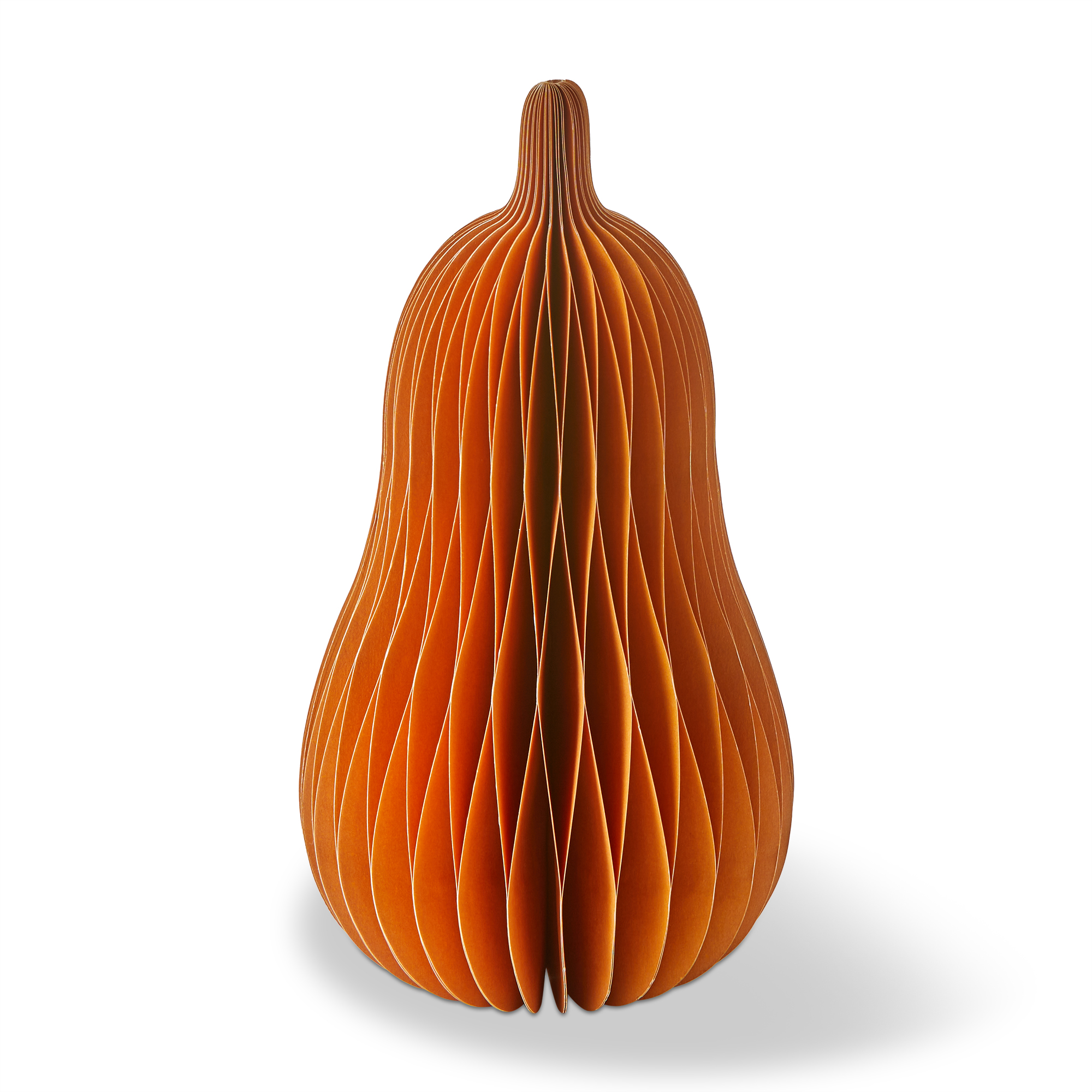 Picture of SQUASH PAPER DECOR LARGE