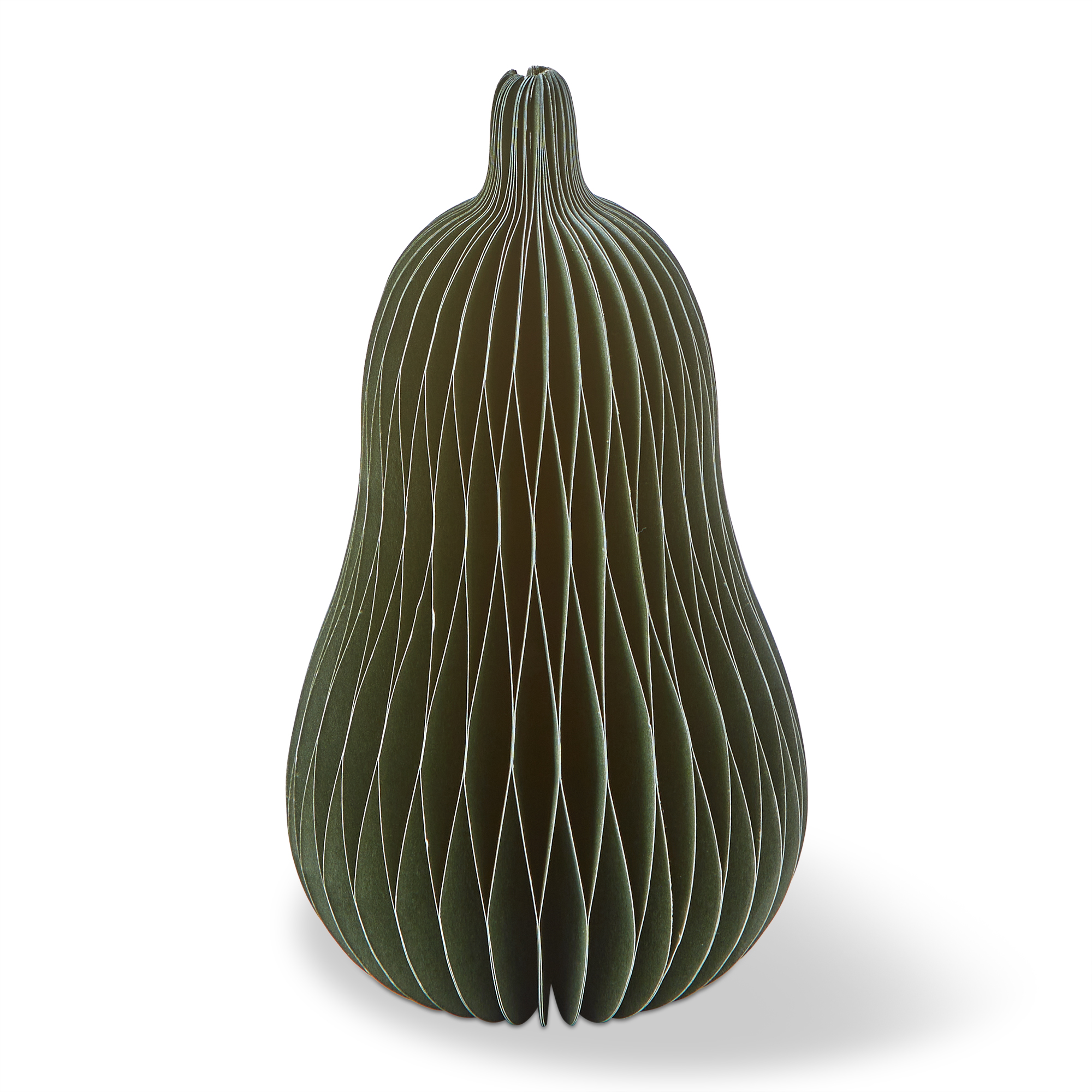 Picture of SQUASH PAPER DECOR SMALL OLIVE