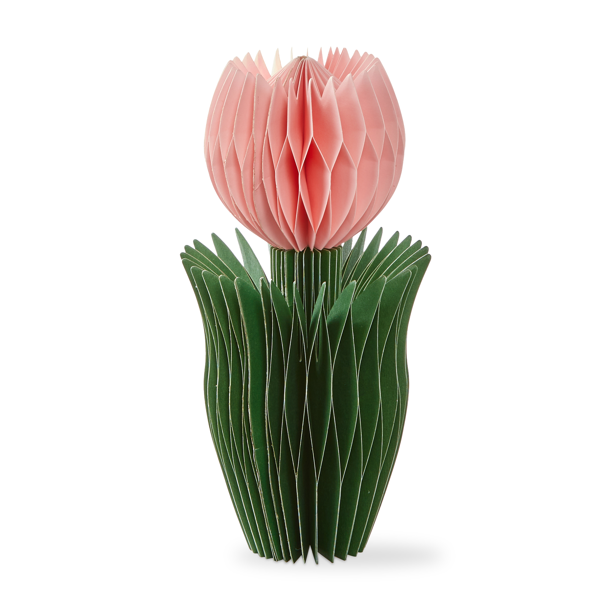 Picture of TULIP PAPER DECOR SMALL