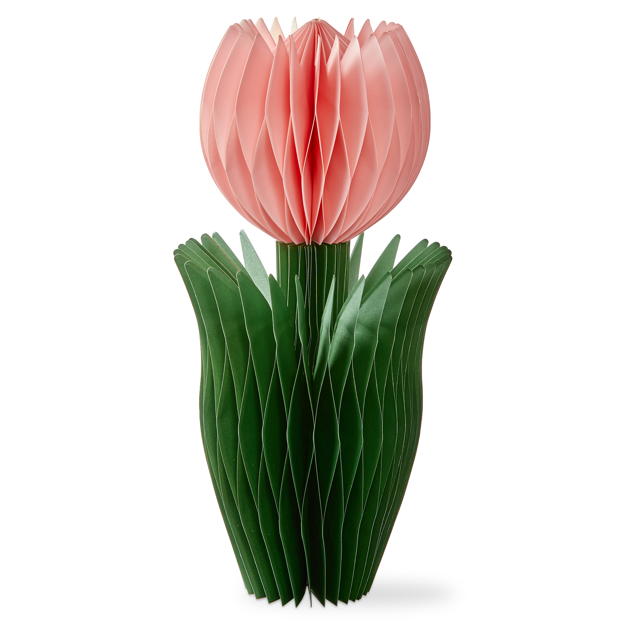 Picture of TULIP PAPER DECOR LARGE