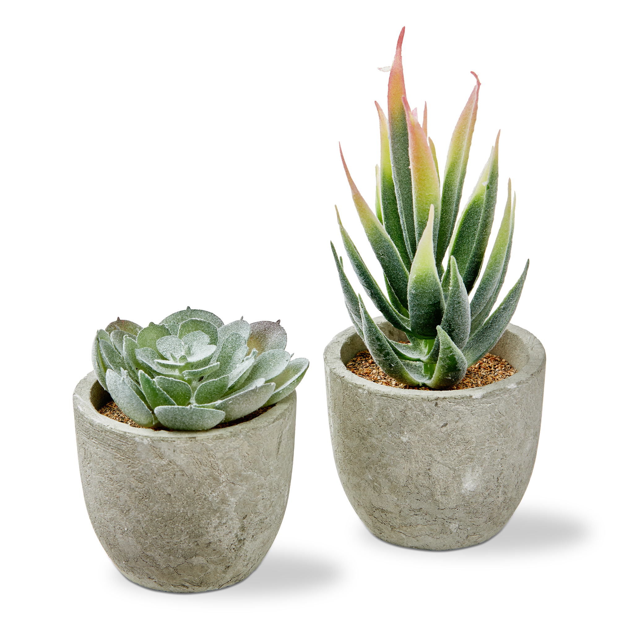 Picture of FAUX MINI POTTED SUCCULENT ASMT/2