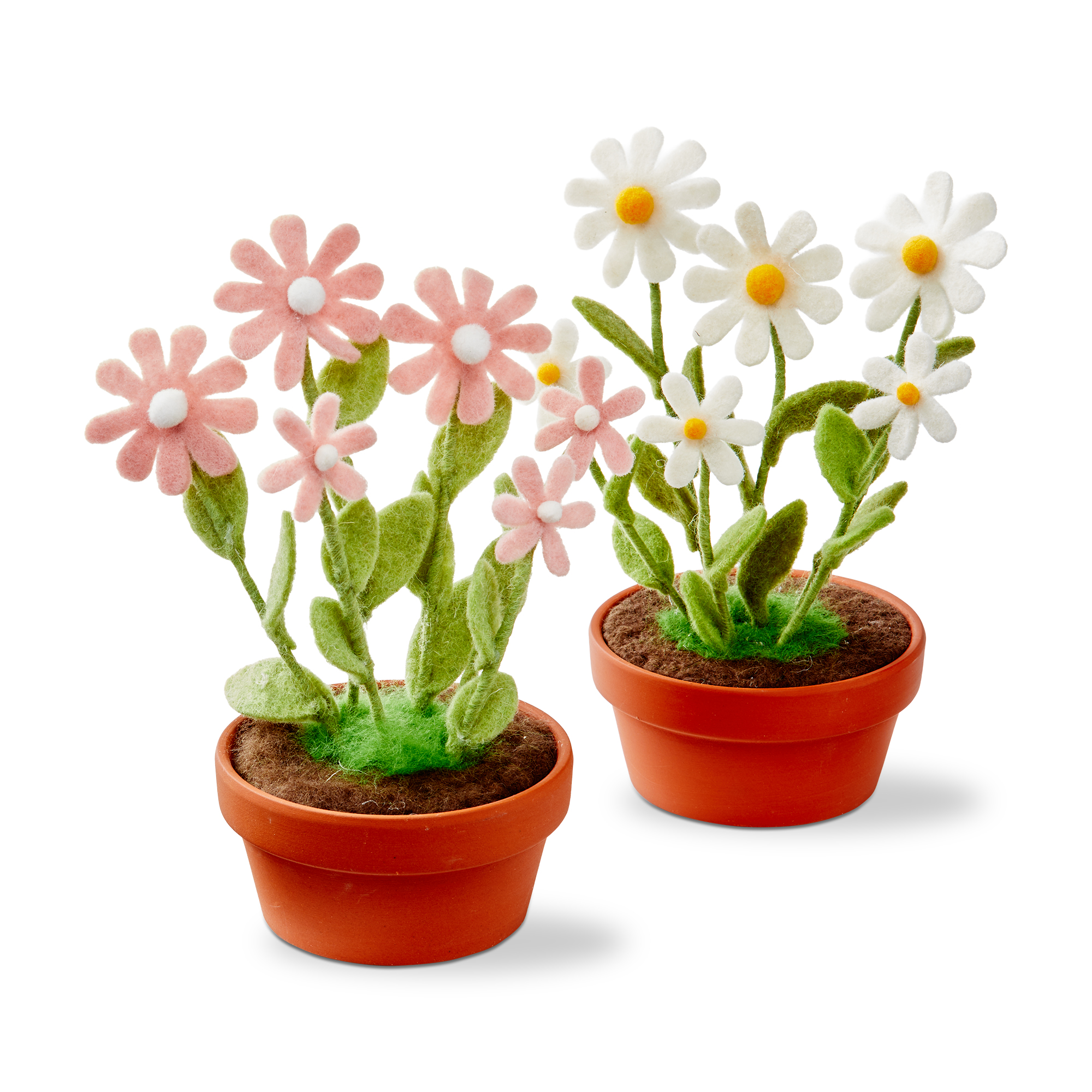 Picture of POTTED FELT DAISIES ASMT/2