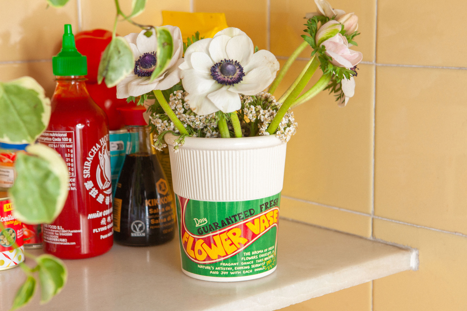 Picture of DOIY, Vase, S, Corner shop, Noodle Pot