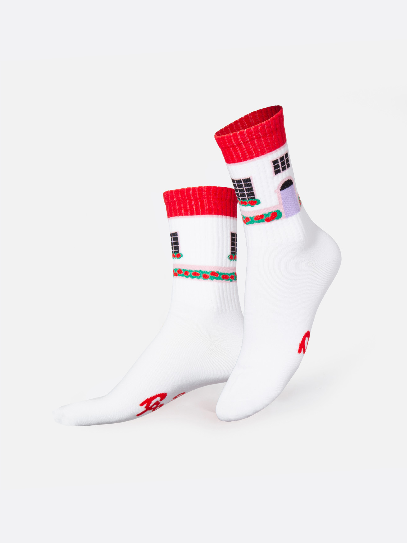 Picture of EMS, Socks, Adults, Flat, House